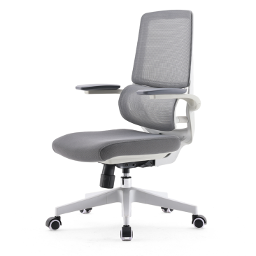 Sihoo Smart M59DSB-301 Ergonomic Office Chair - Dual Section Backrest - Grey - M59DSB-301