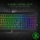Razer Cynosa Chroma Gaming Keyboard - RZ03-02260100-R3M1