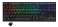 Ducky One 2 TKL RGB Cherry Blue RGB Switch/ Black keycaps/ Black top case white bottom case | ENG/ARABIC KEYS -DKON1787ST-CARALAZT1