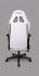 RANSOR Gaming Legend Chair – P5 White Edition-RNSR-GC-LGND-P5-WT