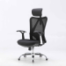 Sihoo Smart M16 Ergonomic Mesh Office Chair - Black - M16-201