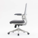 Sihoo Smart M59DSB-301 Ergonomic Office Chair - Dual Section Backrest - Grey - M59DSB-301